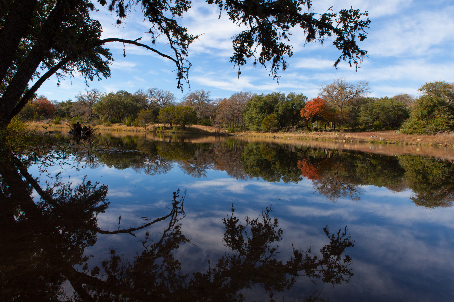 Oaks at Lakeway